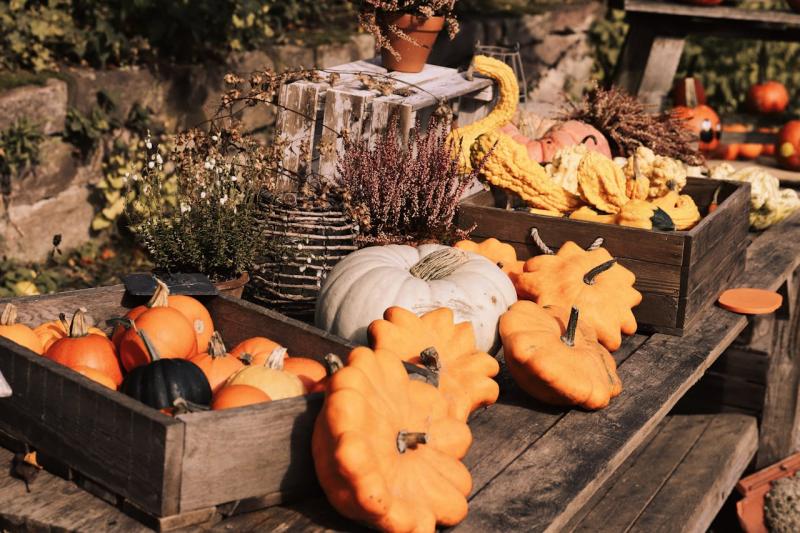 6 Ideias Criativas de Displays de Madeira para Sua Decoração